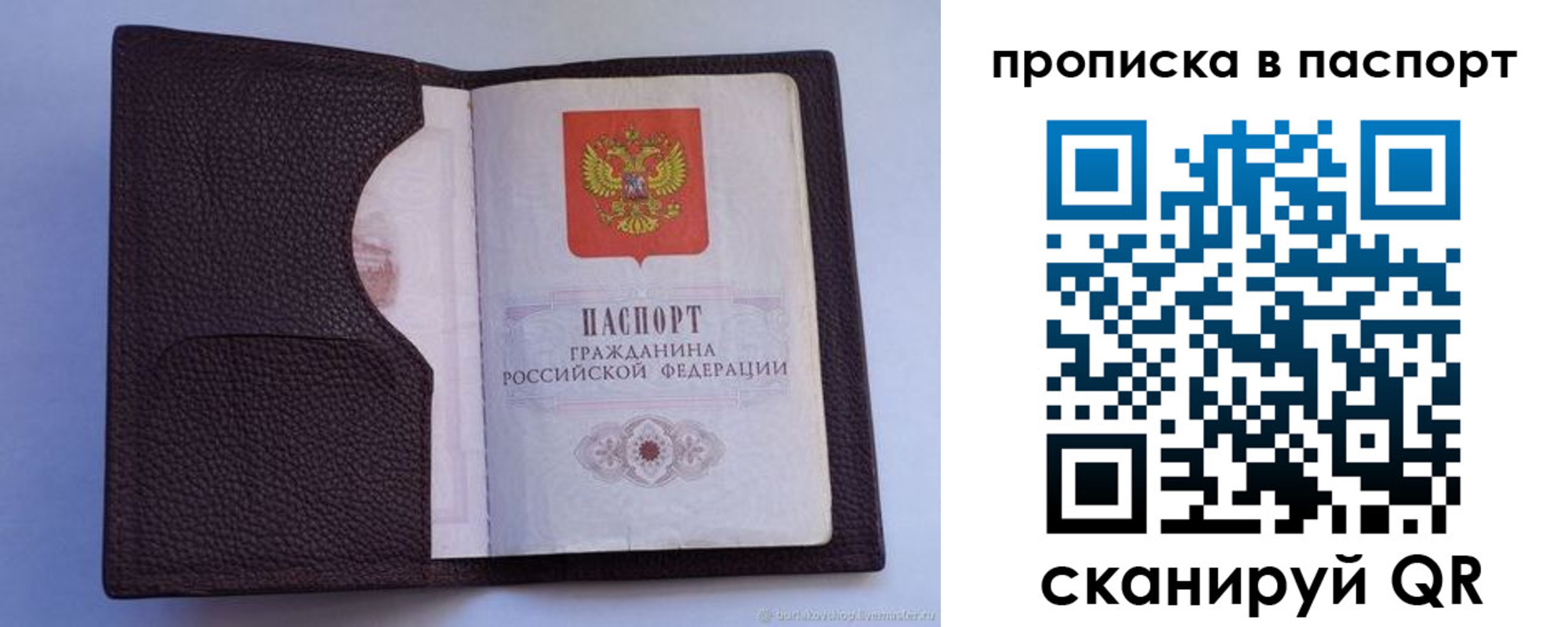 прописка законно в Мирном